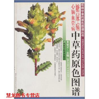 【正版书籍】 糖尿病心脑血管病中草药原色图谱 黄燮才 编 广西科学技术出版社