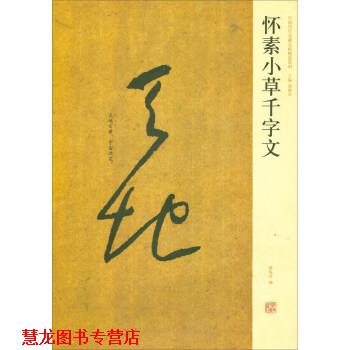 【正版书籍】 怀素小草千字文 中国历代名碑名帖精选系列 薛海洋,周俊杰 河南美术出版社