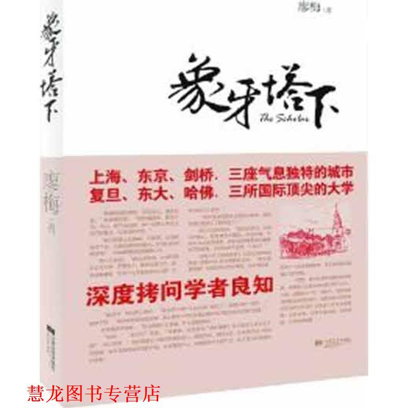 【正版书籍】 象牙塔下 廖梅 著 江苏文艺出版社