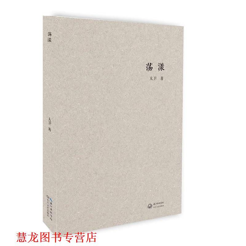 【正版书籍】 荡漾 大卫 长江文艺出版社