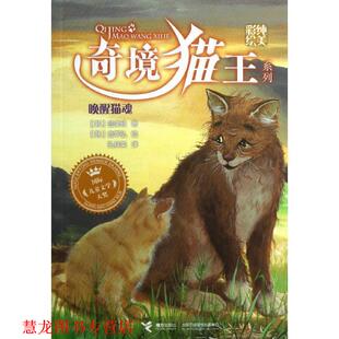 【正版书籍】 奇境猫王:唤醒猫魂 (韩)金津经　著,(韩)金宰弘　绘, 孔祥英　译 接力出版社
