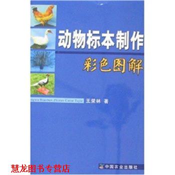 【正版书籍】 动物标本制作彩色图解 王荣林 中国农业出版社