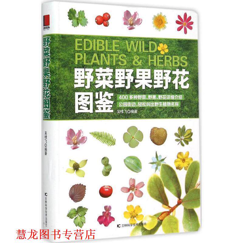 【正版书籍】 野菜野果野花图鉴 吴棣飞 吉林科学技术出版社