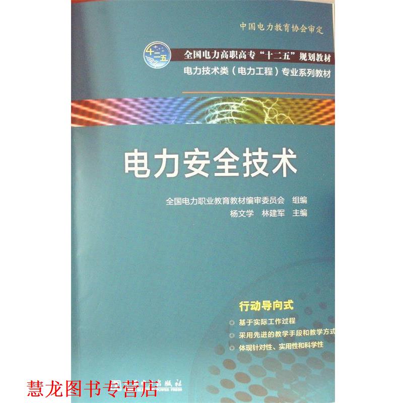 【正版书籍】 电力安全技术 杨文, 林建军 主编 中国电力出版社