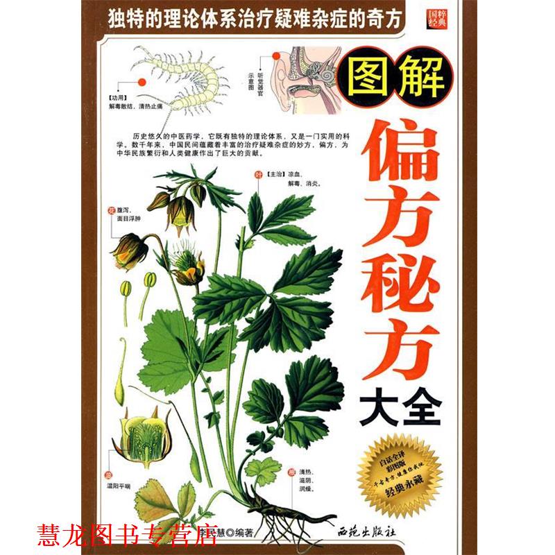 【正版书籍】 图解偏方秘方大全 李民慧　编著