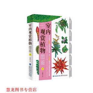 正版 福建科技出版 书籍 章锦瑜 社 室内观赏植物图鉴2