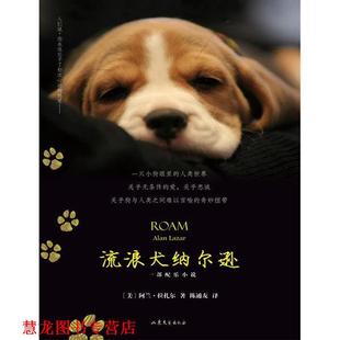 【正版书籍】 流浪犬纳尔逊 阿兰·拉扎尔 山东文艺出版社