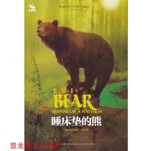 【正版书籍】 睡床垫的熊--黑鹤自然之歌系列 格日勒其木格.黑鹤 吉林出版集团有限责任公司