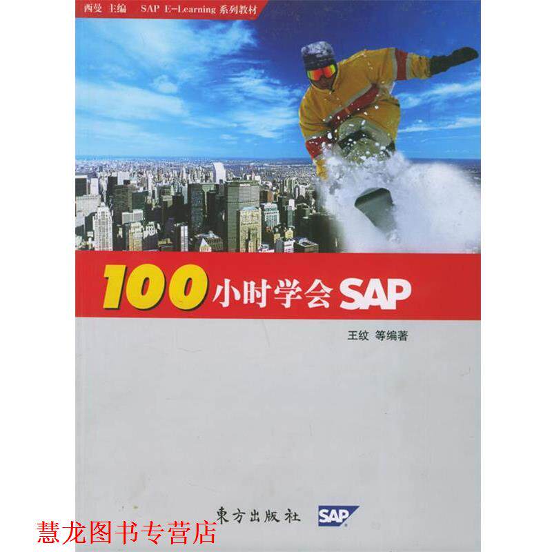 【正版书籍】 100小时学会SAP 王纹 等 著 东方出版社