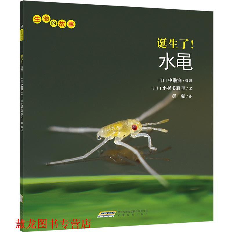 【正版书籍】 生命的故事:诞生了!水黾 小杉美野里 安徽教育出版社