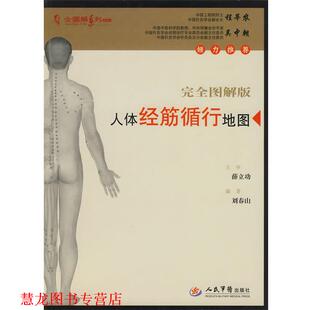 【正版书籍】 人体经筋循行地图 薛立功 主审 人民军医出版社