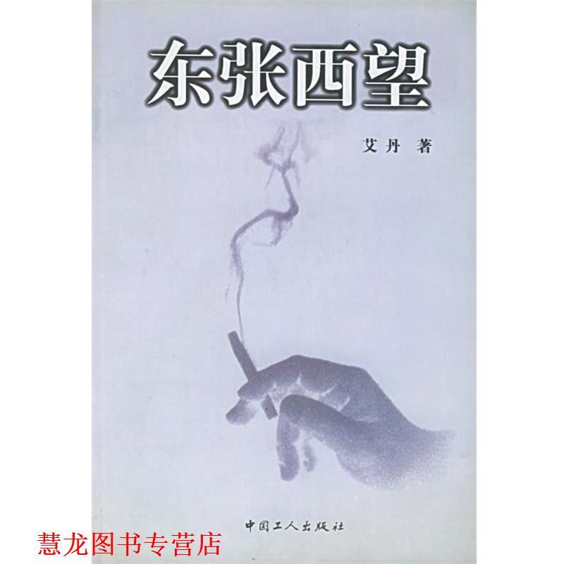 【正版书籍】 东张西望 艾丹 著 工人出版社