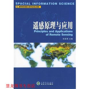 遥感原理与应用 高等学校测绘类系列教材 孙家 武汉大学出版 书籍 主编 社 正版