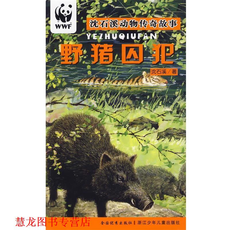 【正版书籍】 野猪囚犯 沈石溪动物传奇故事 沈石溪 著 浙江少年儿童出版社
