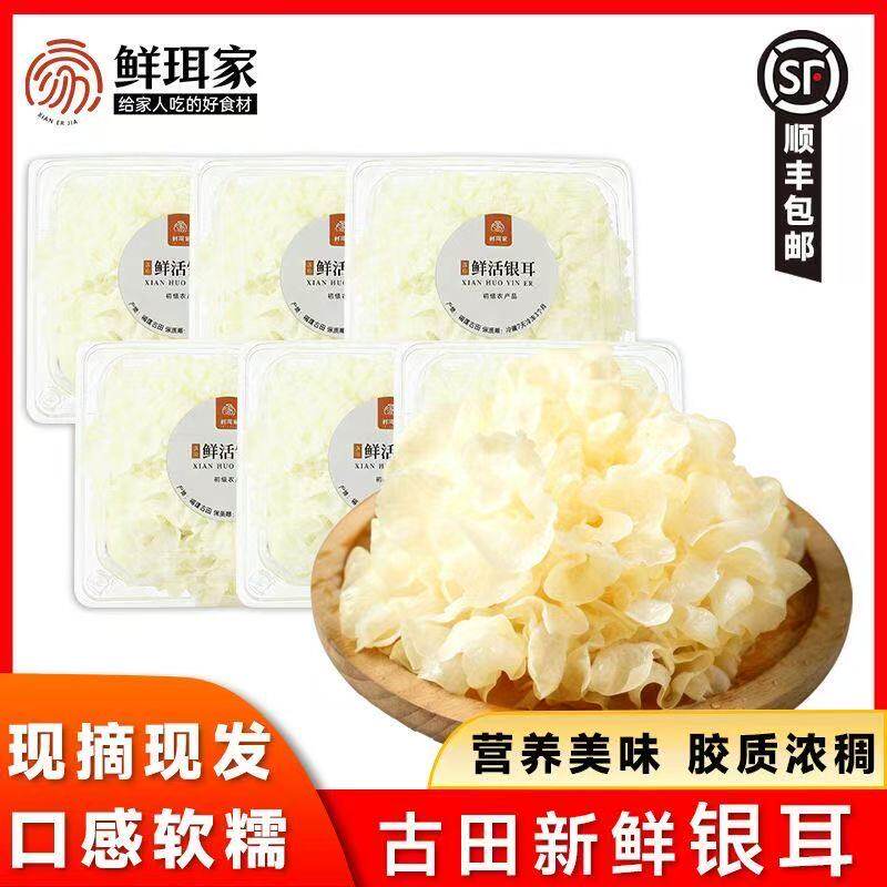 鲜珥家新鲜银耳6朵盒装 高山活鲜白木耳糯丑雪耳非干货银耳莲子羹