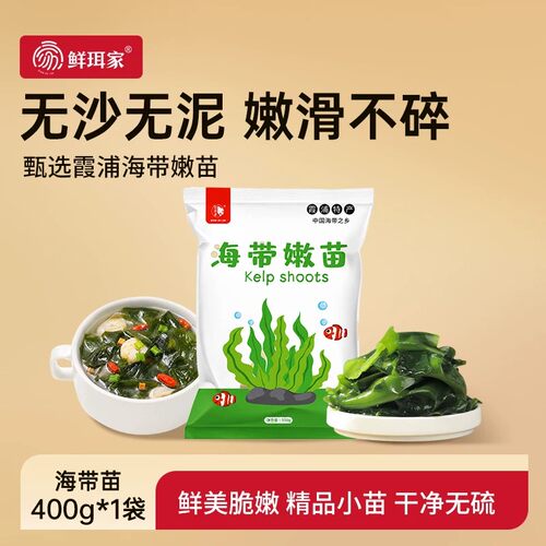 鲜珥家霞浦特产嫩海带苗