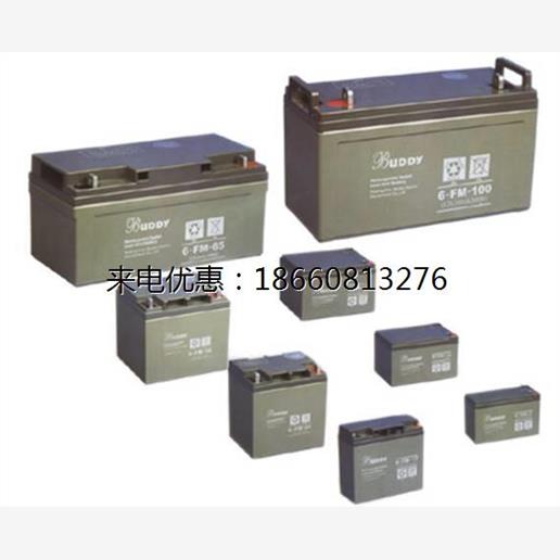 6-GFM-65 宝迪蓄电池 BUDY蓄电池 12V65AH 免维护蓄电池