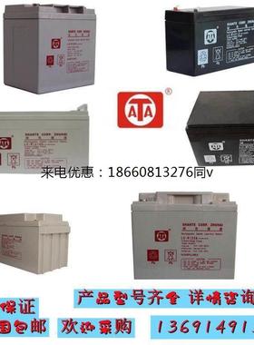 ATA绿色通道蓄电池LC-R12100 LC-R127.2 12V12AH17AH24AH38AH65AH