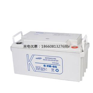 科士达蓄电池6 6512v65AHUPS不间断电源专用铅酸免维护蓄电池