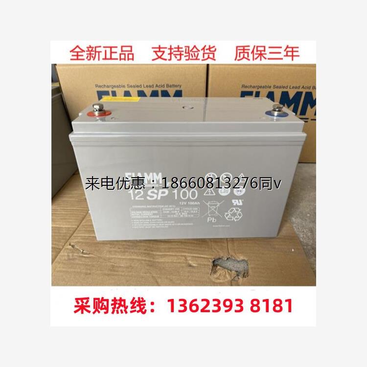 FIAMM非凡蓄电池12SP100 12V100AH机房基站船舶发电厂UPS直流屏用