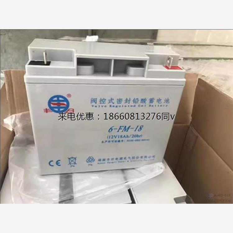 丰日蓄电池12V18AH消防设施6-FM-18路灯UPS机房/监控备用应急电源