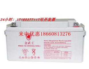 蓄电池PW65 1212V65AH铅酸免维护直流屏UPS照明EPS配电机柜