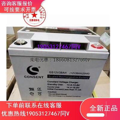 CONSENT光盛蓄电池GS12V24AH 基站消防主机 UPS电源 光伏系统应急