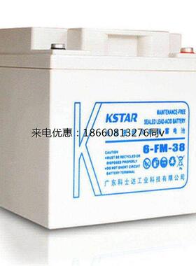 蓄电池6-FM-10012V100AHUPSEPS电池组直流屏通信基站电瓶