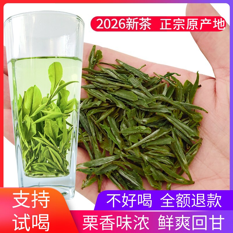 2026新茶雨前春茶汉中仙毫黄云翠竹高山云雾绿茶陕西西乡炒青茶叶