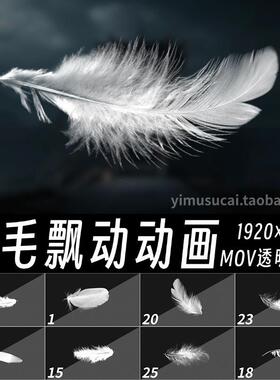 25款白色羽毛掉落飘落飘动动画mov透明通道Ae特效Pr循环视频素材