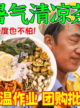 广东凉茶暑气清凉茶广州茶夏天茶包饮料中式药材泡茶泡水冰镇喝的
