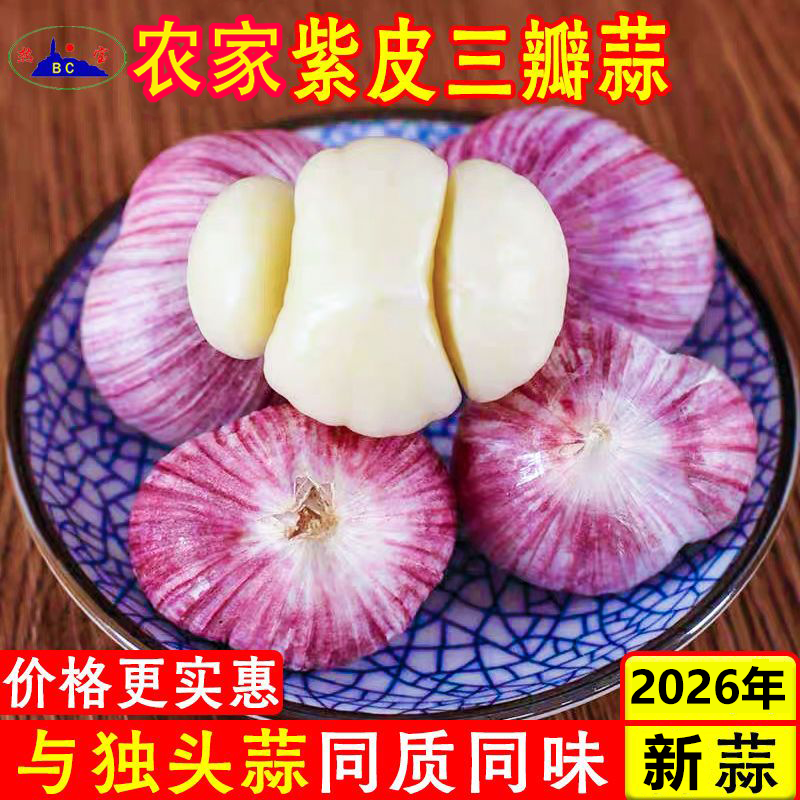 云南紫皮大蒜三丫蒜新蒜蔬菜