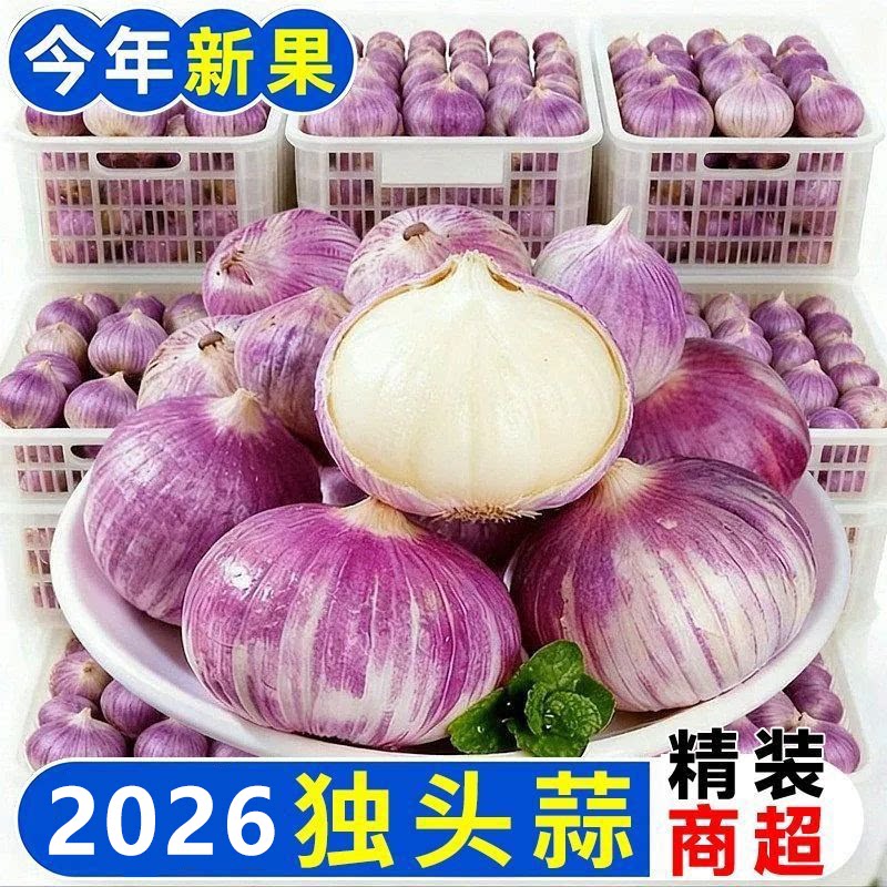 紫皮独头蒜新干蒜大蒜全干新蒜头