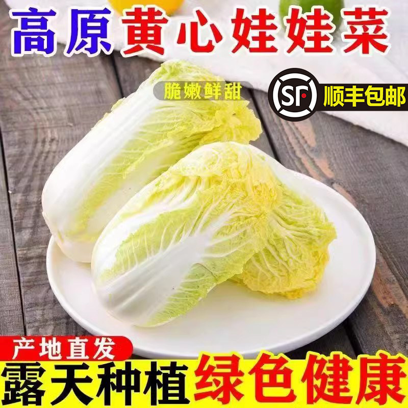 【顺丰包邮】云南高山娃娃菜精选叶菜类
