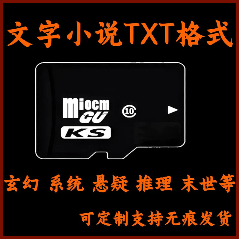 TXT电子书内存卡修真玄幻穿越