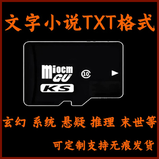 电子书TXT格式内存卡内储存TFSD卡修真玄幻穿越悬疑热门图书大全