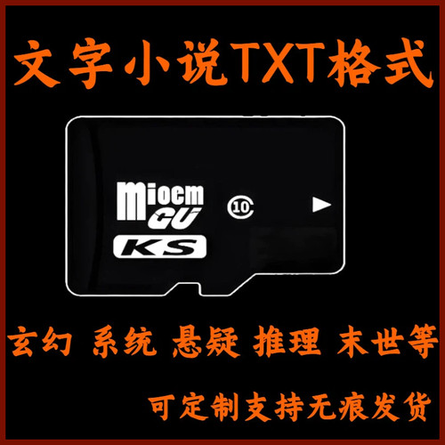 TXT电子书内存卡修真玄幻穿越