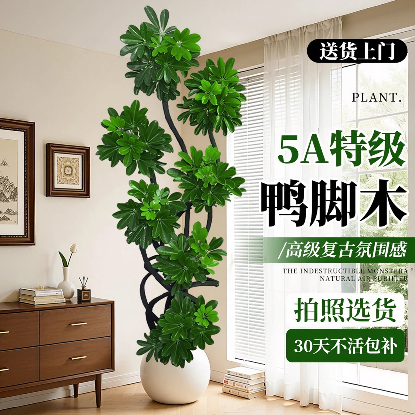 新洋丰鸭脚木客厅大型绿植大盆栽高级感室内植物鸭掌木造型鹅掌柴