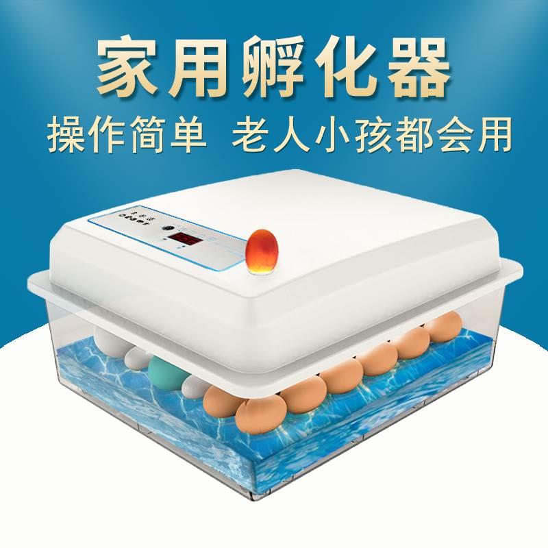 孵化器小型家用智能小鸡孵化箱水床孵化机鸭鹅鸽子鹌鹑恒温孵蛋器