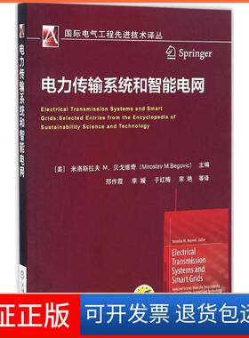【保正版】电力传输系统和智能电网(美)米洛斯拉夫·M.贝戈维奇(Miroslav M.Begovic) 主编；邢作霞 等 译机械工业出版社