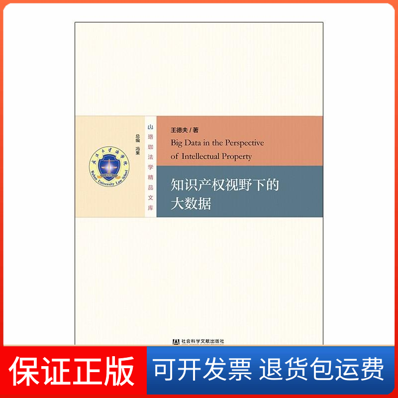【保正版】知识产权视野下的大数据王德夫 著 无 译社会科学文献出版社9787520123211