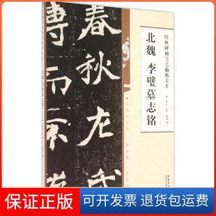 【保正版】北魏李璧墓志铭李钢安徽美术出版社9787539861821
