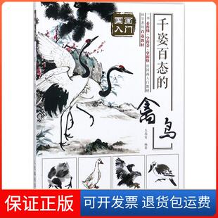 【保正版】千姿百态的禽鸟王忠富人民邮电出版社9787115477293