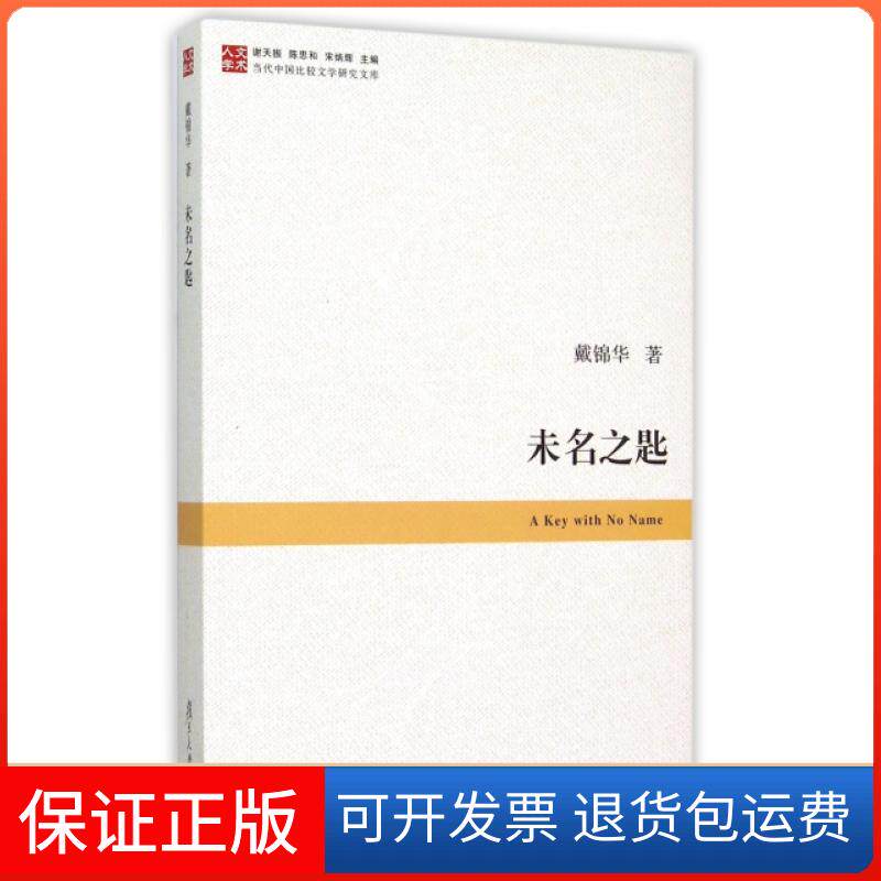 【保正版】未名之匙/当代中国比较文学研究文库戴锦华|总主编:谢天振//陈思和//宋炳辉复旦大学9787309109160