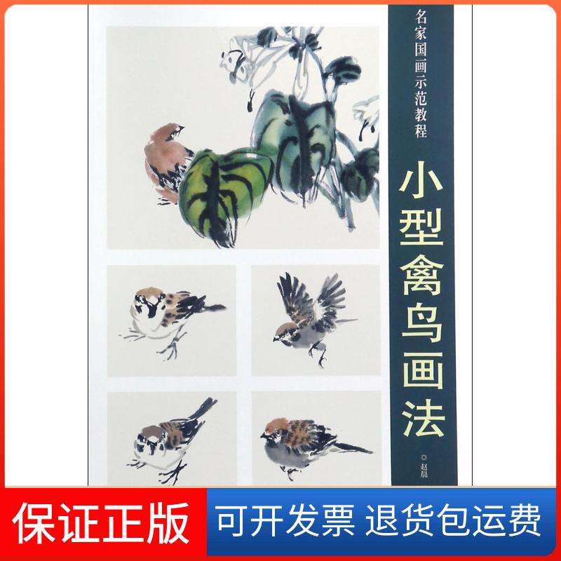 【保正版】小型禽鸟画法（8K）赵晨绘北京师范大学出版社9787554707128