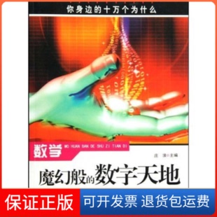 数字天地庄浪合肥工业大学出版 数学魔幻般 社 保正版