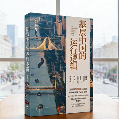基层中国的运行逻辑聂辉华著