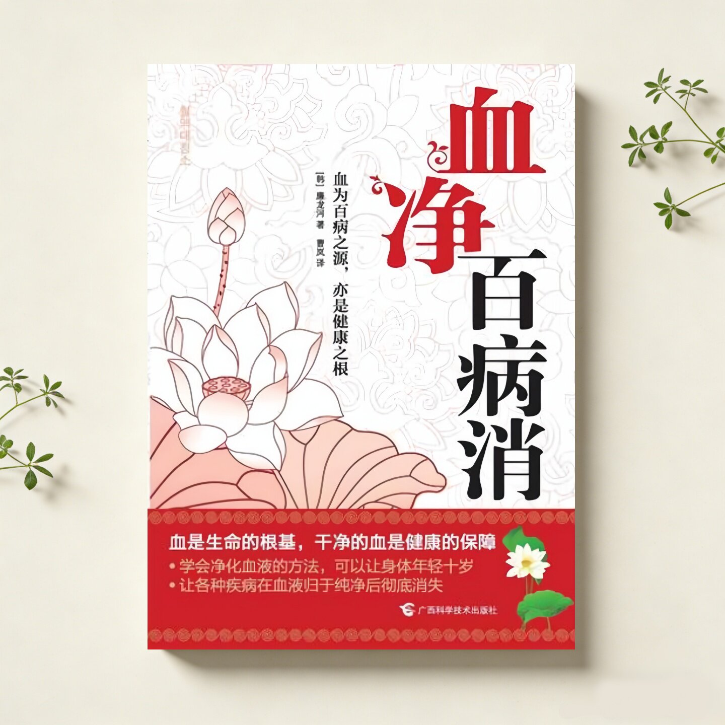 血净百病消廉龙河著