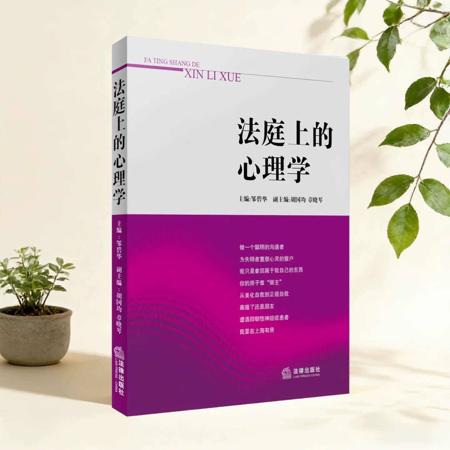 法庭上的心理学邹碧华法律出版社