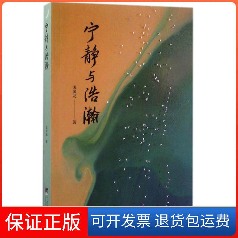 【保正版】宁静与浩瀚戈国龙中央编译出版社9787511731821